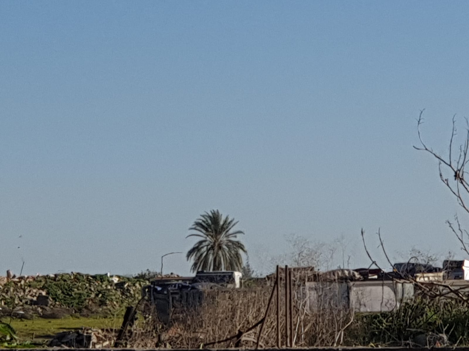 WhatsApp Image 2020-02-06 at 8.39.31 AM.jpeg.jpeg